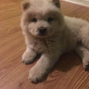 Meet your Posher, Beatriz